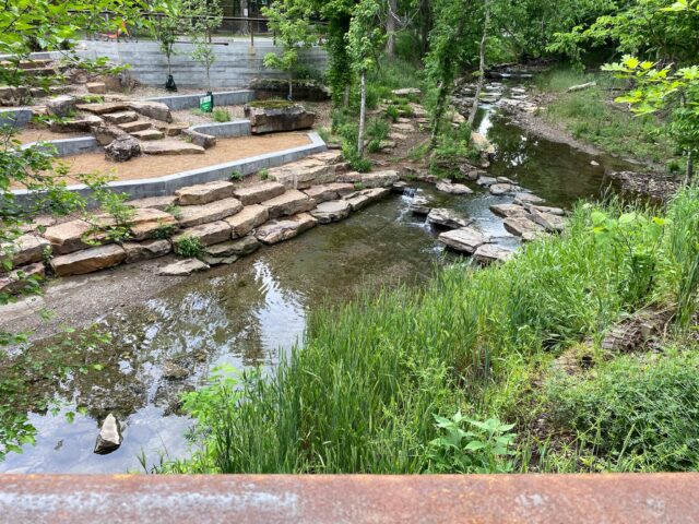 Fayetteville Ramble